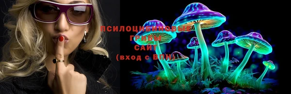 винт Верхний Тагил