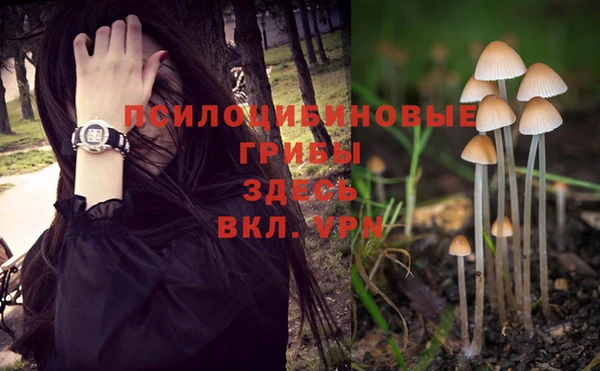 винт Верхний Тагил