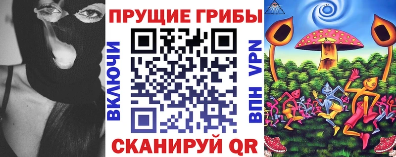 наркота Пермь Псилоцибиновые грибы мицелий
